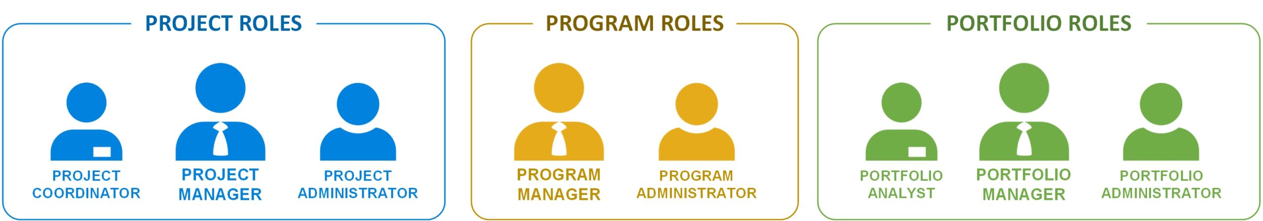 Project and Portfolio Management Roles